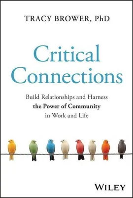 Produktbild von Critical Connections