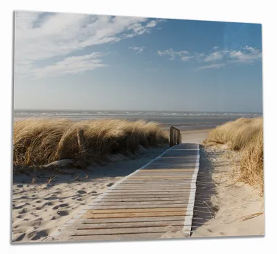 Produktbild von Wallario Herdabdeckplatte aus Glas, Größe 60 x 52 cm 1-teilig, Motiv Auf dem Holzweg zum Strand