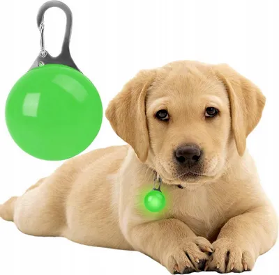 Immagine prodotto di Collare A Luce Led Nuxie® Appeso Luce Per Cani Gatti