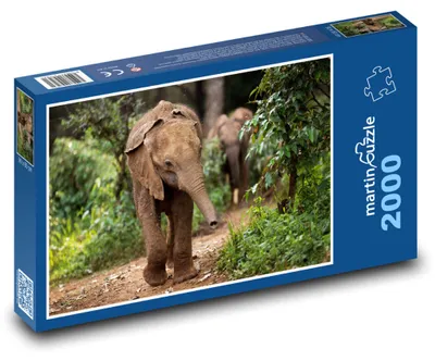 Zdjęcie produktu dla Puzzle 2000 Słoniątko w dżungli - martinpuzzle