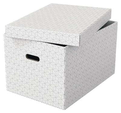 Produktbild von Esselte Leitz Geschenkkarton - groß - 51 cm x 35.5