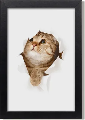 Produktbild von Bild 20x30 MDF-Rahmen, Wandkunst Katze
