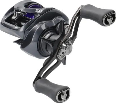 Produktbild von Daiwa 26 Prorex TW HD 200HL Baitcastrolle