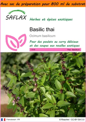 Image de SAFLAX Garden in the bag - Basilic thai - 200 graines - Ocimum