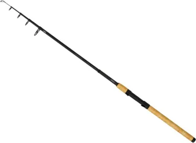 Image de Zebco Trophy Tele CW30-100g 2,70m