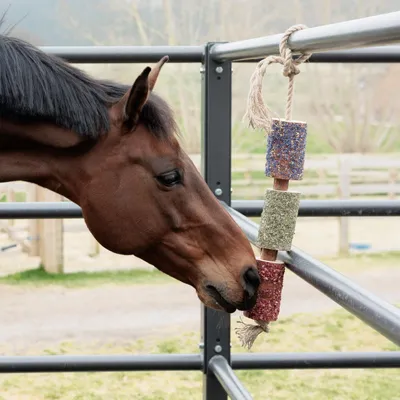 Produktbild von Grooming Deluxe Wooden Relax Horse Toy, Farbe:Freedom