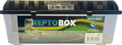 Productafbeelding van Repto Transparante kunststof transportbox voor reptielen, amfibieën, knaagdieren en insecten | 4 maten 42 x 26 x 16CM