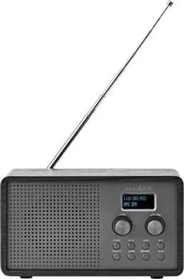 Obrázok produktu pre NEDIS Rádio 4,5 W FM/DAB+ budík s nabíjačkou batérií 1,3'' čiernobiely RDDB5110BK