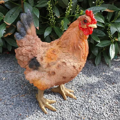 Immagine prodotto di Statua da giardino pollo marrone 34 cm