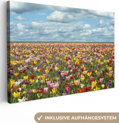 Produktbild von OneMillionCanvasses® - Leinwandbilder - 150x100 cm, Tulpen - Farben - Wolken, Wandbilder Kunstdruck Wanddekoration