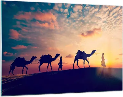 Produktbild von Bilder auf glas - Kamel Wohnwagen - 120x80cm - Glasbilder - Wandbilder - Kunstdruck - zum Aufhängen bereit - Wanddekoration aus Glas - Glas Bilder - Wandbild auf Glas - Einteilig - GAA120x80-3672