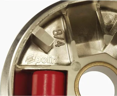 Produktbild von POLINI Variator für MALAGUTI F12