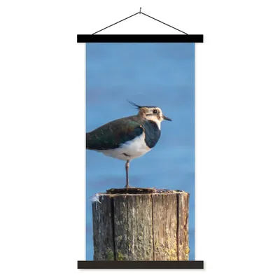 Produktbild von MuchoWow® Textilposter Vogel - Tiere - Pfahl - Blau - Kiebitz 90x180 cm mit schwarzem Rahmen - Dekoration Wohnzimmer
