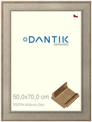 Obrázek produktu pro DANTIK rámeček 50x70 | TOOTH stříbrná (Plexi Čiré)