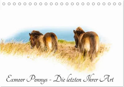 Produktbild von Exmoor Ponnys - Die letzten Ihrer Art (Tischkalender 2025 DIN A5 quer), CALVENDO Monatskalender