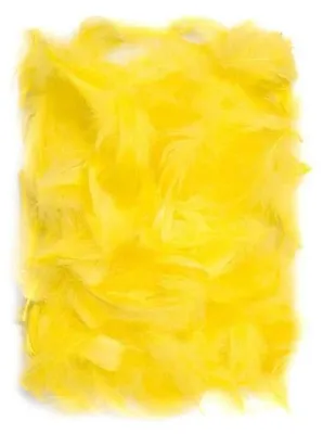 Image de Plumes jaunes 5-12 cm, 10 g - Dalprint dpCraft