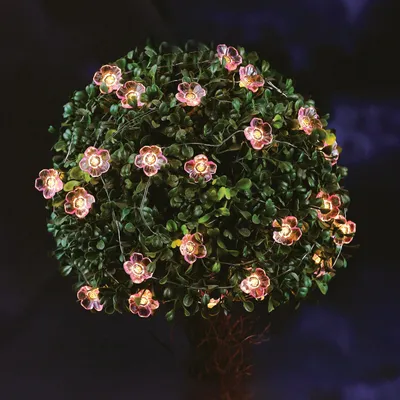 Produktbild von GLOBIZ Solarbetriebene Lichterkette – Blumenform – 2,4 m – 25 warmweiße LEDs, KI-generiertes Bild