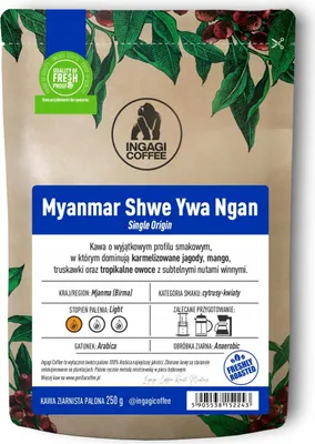 Produktbild von KAFELOV | Kaffeebohnen Myanmar - 250 g - Birma Arabica - fruchtige Noten - hell geröstet