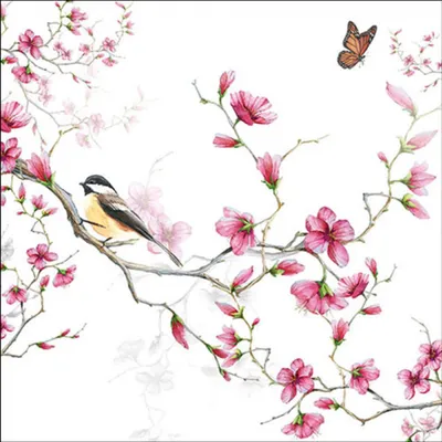 Produktbild von 20 Servietten Bird and Blossom white - Vogel an pinke Blüten 33x33cm