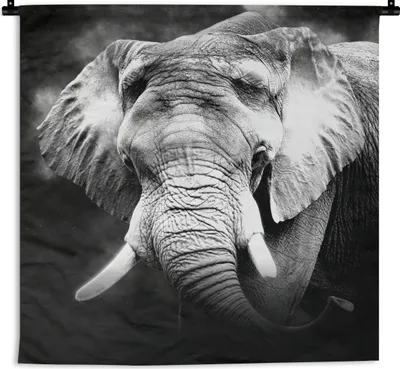 Produktbild von MuchoWow® Wandteppich Wandbehang Elefant - Rauch - Zähne - Schwarz - Weiß 150x150 cm Tapisserie Dekoration Wandtuch - Wohnaccessoires - Modernes