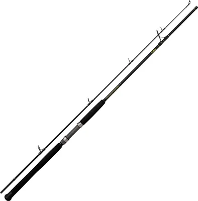Produktbild von Black Cat Solid Spin 2,40m 40-160g - Spinnrute für Wels