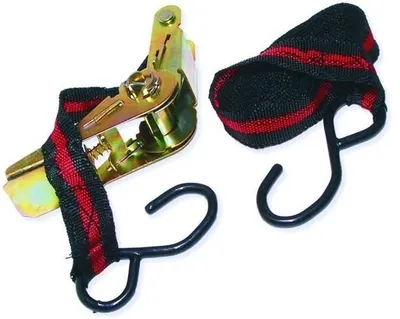 Image de BANDE DE SACS AVEC CROCHETS ET TENDEURS 5m x 25mm 250kg