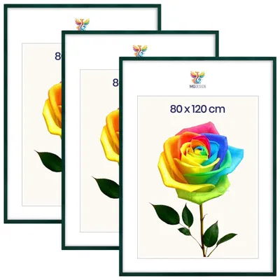 Produktbild von MG Design 3er Set Bilderrahmen Grün 80x120 cm - Posterrahmen Echtholz mit Acrylglas, verstärkte Wandaufhängung, hoch/quer