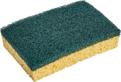 Image de Lot de 2 éponges à récurer SPONTEX EXPERT