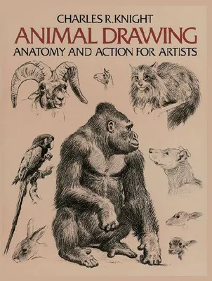 Produktbild von Animal Drawing