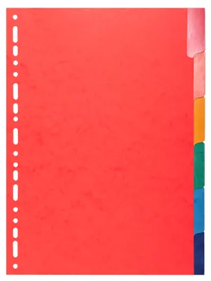 Immagine prodotto di Exacompta 2206E separatori DIN A4 con 6 linguette in cartone Manila 225 g