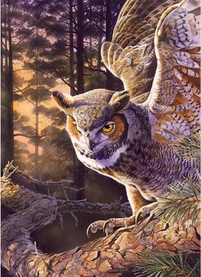Zdjęcie produktu dla Cobble Hill Evening Hunter, 1000 szt.