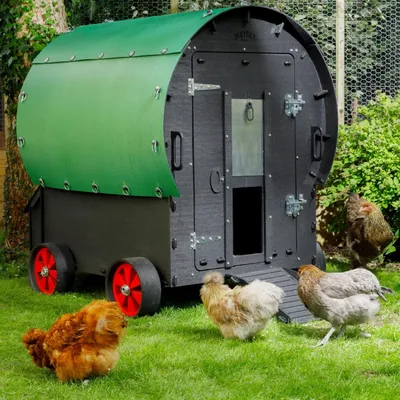 Produktbild von Nestera Hühnerhaus Hühnerstall Kleintierstall WAGON