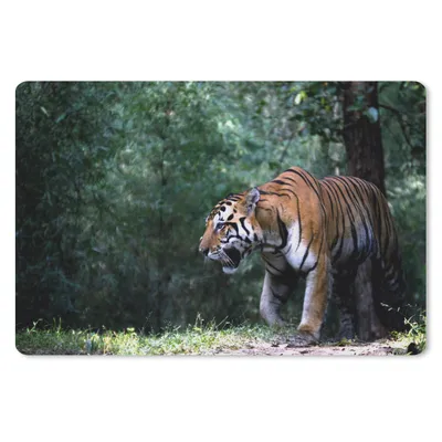 Produktbild von MuchoWow® Mauspad Mousepad Tiger - Wald - Bäume 27x18 cm - Mousepads - Maus Mat - Pad - Mausunterlage - Büroartikel - Desk Matten