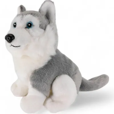 Zdjęcie produktu dla Carl Dick Husky, szary, siedzący, pies, ok. 16 cm 1672002 przytulanka, miękka zabawka, przytulanka