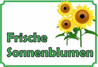Produktbild von Sonnenblumen Verkaufsschild Hofladen Verkaufsförderung A3 Rückseite selbstklebend