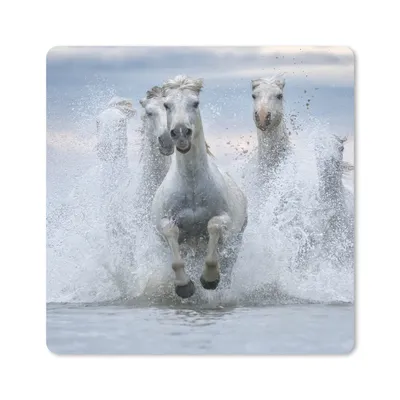 Produktbild von MuchoWow® Mauspad Mousepad Eine Herde weißer Pferde galoppiert durch das Wasser in der Camargue 20x20 cm - Mousepads - Maus Mat - Pad - Mausunterlage - Desk Mat - Bureauartikeln