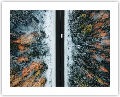 Produktbild von Poster - Poster ohne Rahmen - Wald Weg Schnee - 50x40 cm - Wand Bild - Wanddeko - Wandbilder - Kunstposter - Wandposter - Bilder - Kunstdruck - Wanddekoration - Wandbild - P2XAA50x40-4654