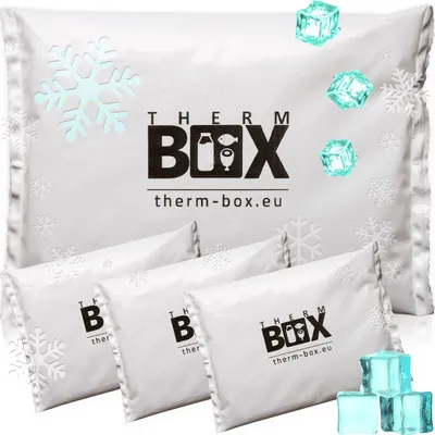 Produktbild von THERM-BOX Profi Kühlakku für Kühlbox Set 4 Stück Groß 450g Wiederverwendbar Kühlpad Kühlpack Kühlbeutel Kühlkissen