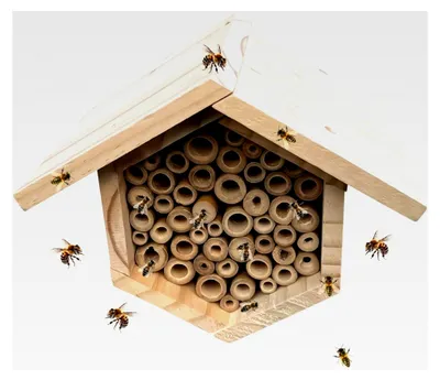 Produktbild von Bienenstock aus Holz für den Außenbereich – Handgefertigter Bienenstock aus Naturholz für Garten, Rasen, Innenhöfe, Balkone, Terrassen und Zäune