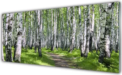 Produktbild von Acrylglasbilder 125x50 Wandbild Druck Wald Fußpfad Natur