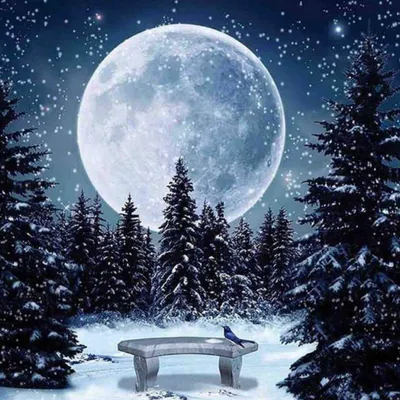 Produktbild von Diamantmosaik "Vollmond im Winter", 30x40 cm, kreative Diamanten