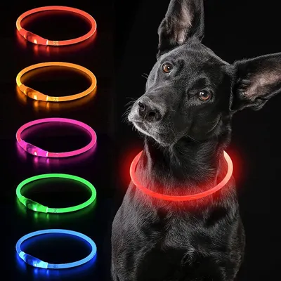 Produktbild von LED-Hundehalsband, beleuchtetes Hundehalsband, über USB wiederaufladbar, wasserdichtes Haustierhalsband, kann zugeschnitten werden, um Hundehalsband für Haustiere zu beleuchten