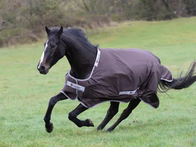Produktbild von Bucas Smartex Turnout Rain Classic 0g - chocolate