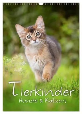 Produktbild von Tierkinder Hunde und Katzen (Wandkalender 2027 DIN A3 hoch), CALVENDO Monatskalender