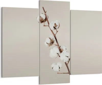 Produktbild von Bild auf Leinwand - Leinwandbild - 3 Teile - Baumwolle Zweig Boho - 130x100cm - Wand Bild - Wanddeko - Wandbilder - Leinwanddruck - Bilder - Wanddekoration - Leinwand bilder - CB130x100-4730