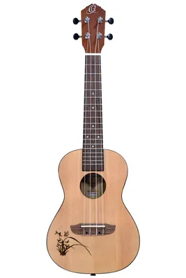 Obrázek produktu pro Ortega RU5L Koncertní ukulele