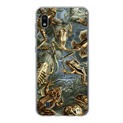 Produktbild von MuchoWow® Handyhülle Schutzhülle Hülle für Samsung Galaxy A10 Batrachia - Haeckel - Alte Meister Silikon Softcase Handy Hülle - Schutzhülle