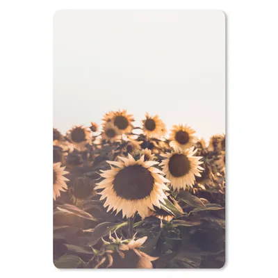 Produktbild von MuchoWow® Mauspad Mousepad Sonnenblumen - Feld - Sonnenuntergang - Blumen - Gelb 18x27 cm - Mousepads - Maus Mat - Pad - Mausunterlage
