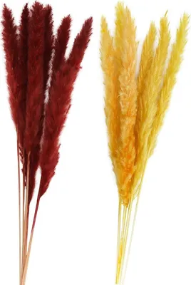 Getrocknetes Pampasgras Rot Gelb 6 Stück 65-75 cm lang Trockenblumen Deko Tisch-Deko Hochzeit Geburtstag Garten-Party Sommerfest Wohn-Accessoire Wohn-Deko Vasen-Deko Dekoideen