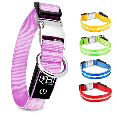 Produktbild von Leuchtender Hundehalsband, langlebige Batterie, sicher, für Spaziergänge